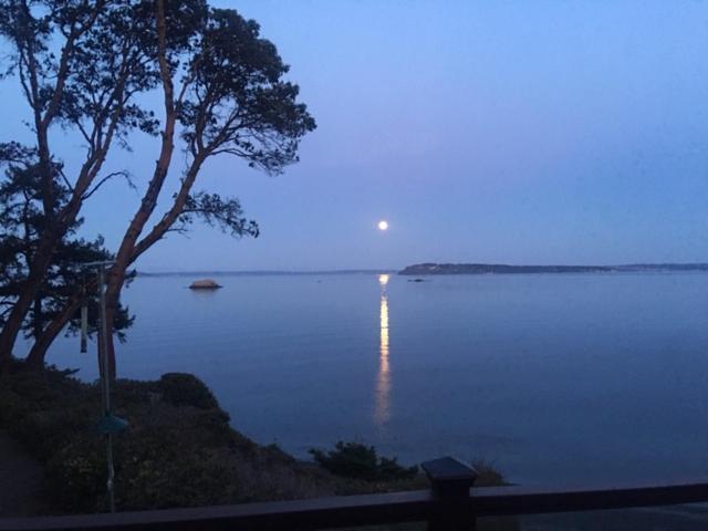Puget Sound Chic Romantic Cottage With Private Beach Access & Gated Entry Port Ludlow Ngoại thất bức ảnh