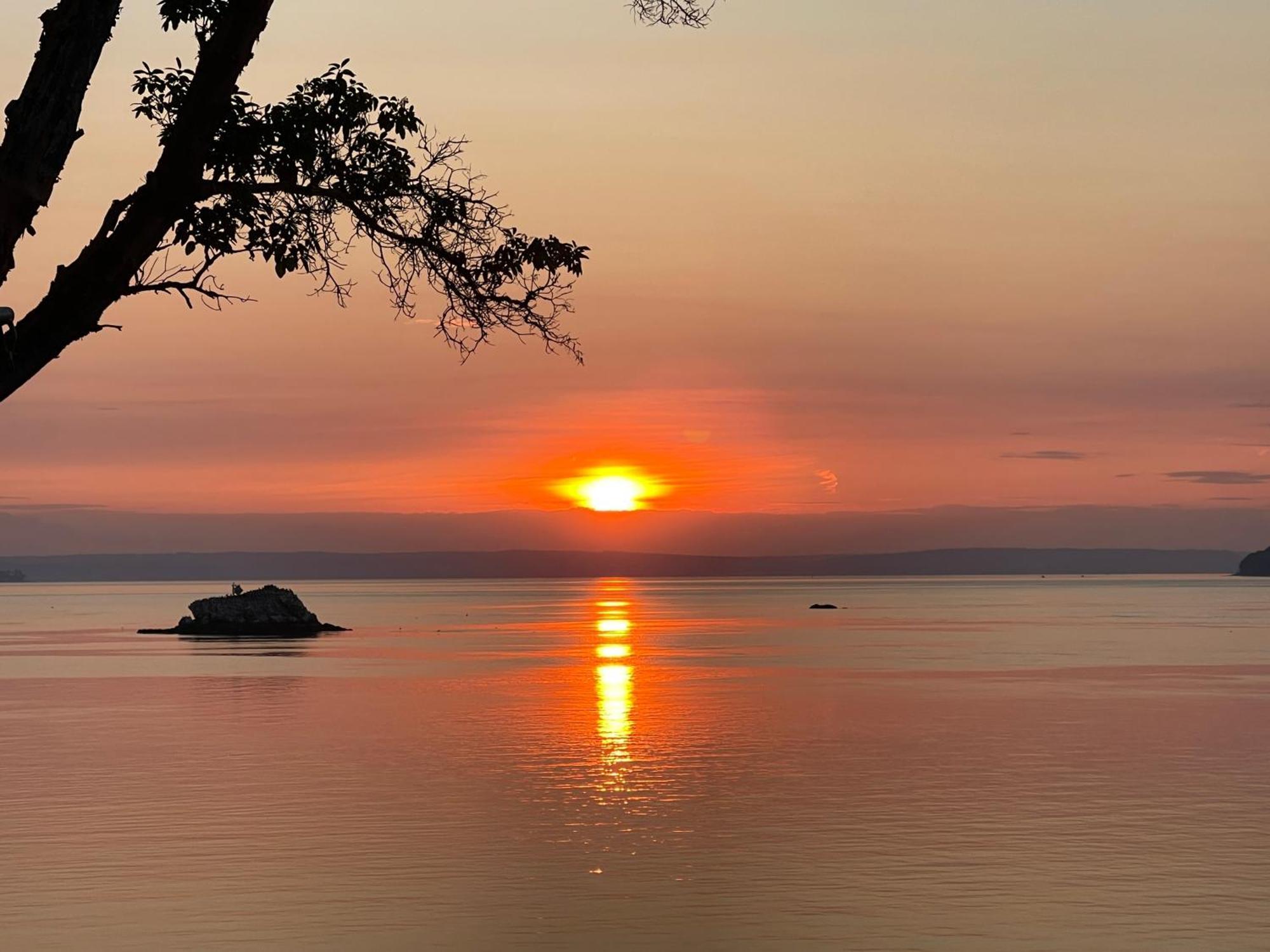Puget Sound Chic Romantic Cottage With Private Beach Access & Gated Entry Port Ludlow Ngoại thất bức ảnh