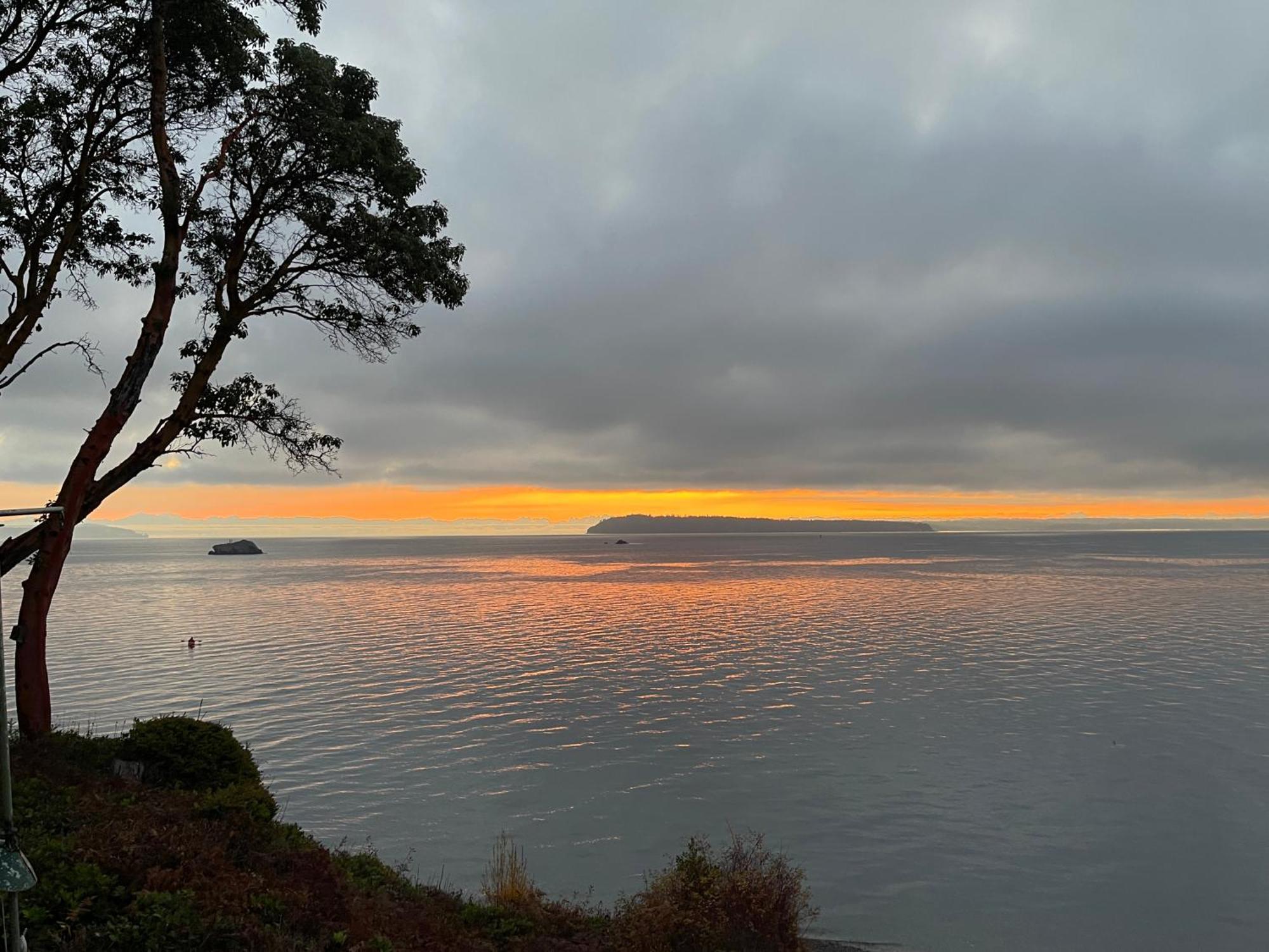 Puget Sound Chic Romantic Cottage With Private Beach Access & Gated Entry Port Ludlow Ngoại thất bức ảnh